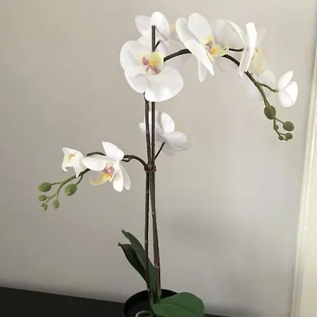 Raffaello 3* Terzigno