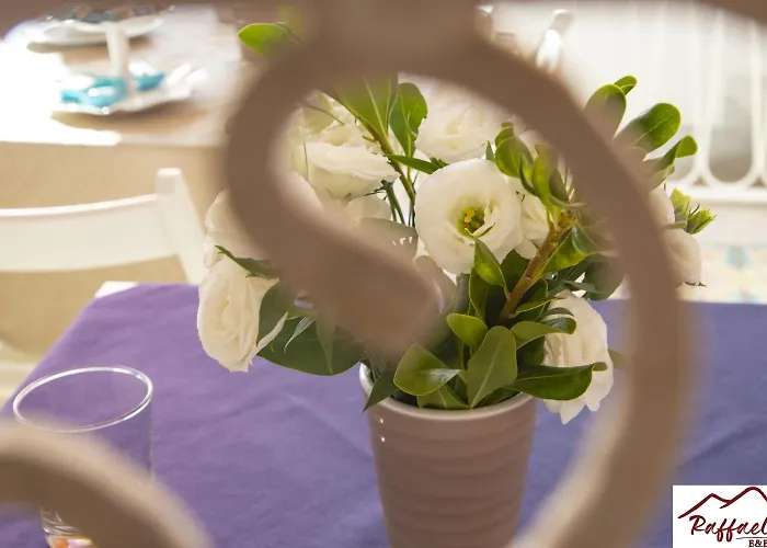 Raffaello 住宿加早餐酒店 Terzigno